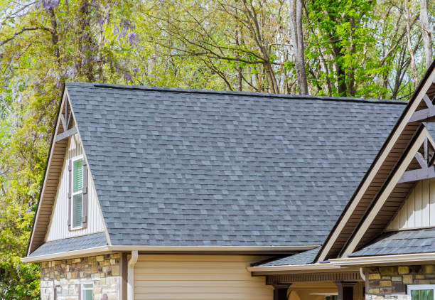 Best Metal Roofing Installation  in Cartervle, IL